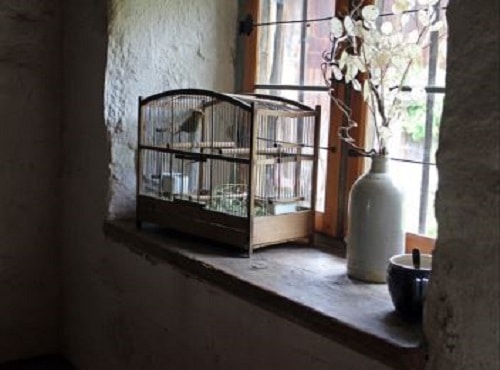 Large Bird Cage Inside House