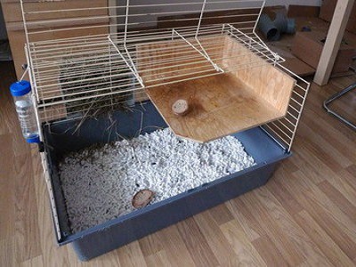 Pet guinea pig cages in perth