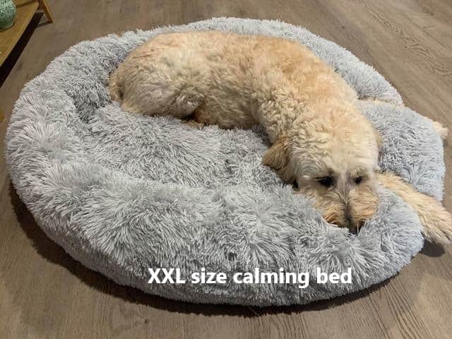 Plenty of Room on XXL Calming Dog Bed