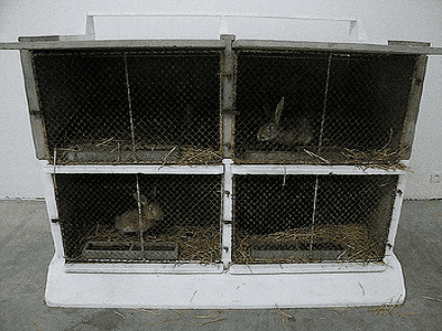 Rabbit Hutch - melbourne