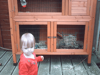 Rabbit Hutches - Adelaide