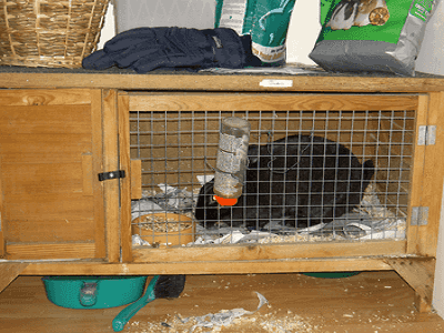 Rabbit hutches - Adelaide