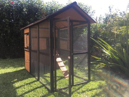 Suitable for 6 chickens if let out daily to roam