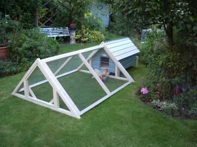 White Chicken Coops - Adelaide