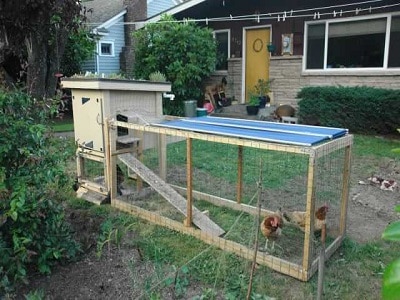 Chicken Coops