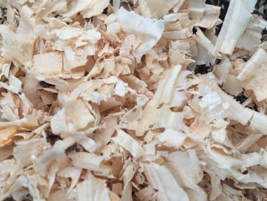 Untreated Pine Shavings