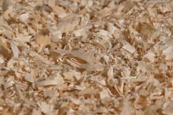 Wood Shavings