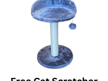 Free Cat Scratcher
