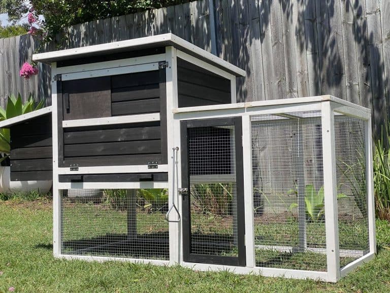 Rabbit Hutches And Enclosures For Sale Australia Coops And Cages