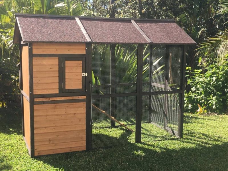 Guinea Pig Cages For Sale Online Australia Coops And Cages