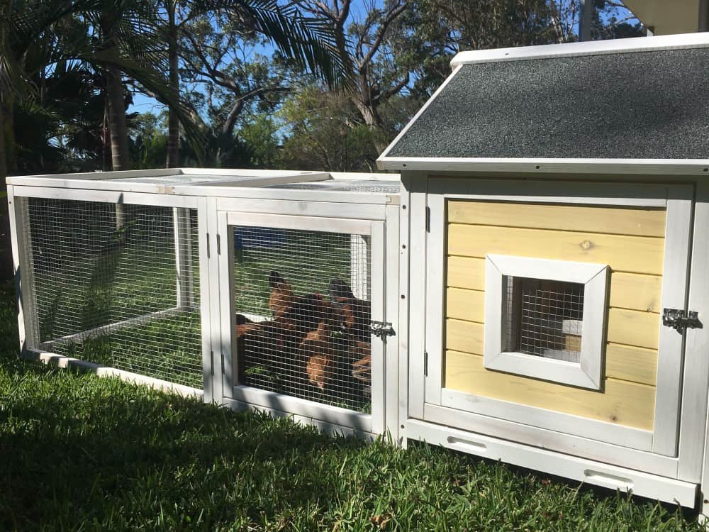 Yellow Cottage Chicken Coop by Coops and Cages