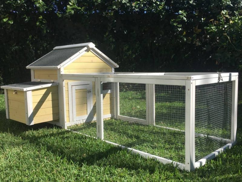 Yellow Cottage Guinea Pig Hutch