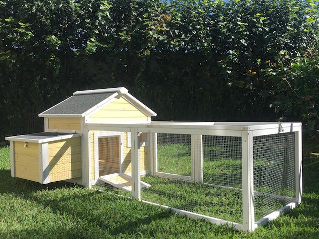 Yellow Cottage - Guinea Pig Hutch