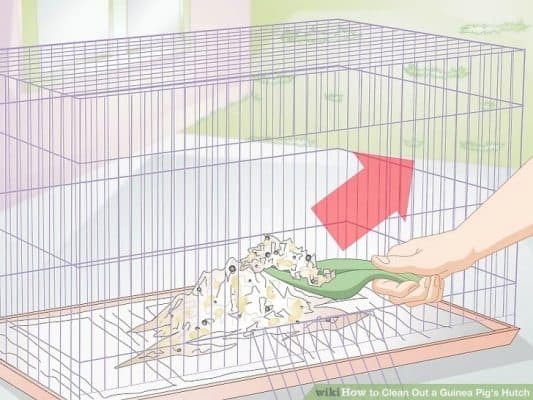 Remove wood shavings for bedding