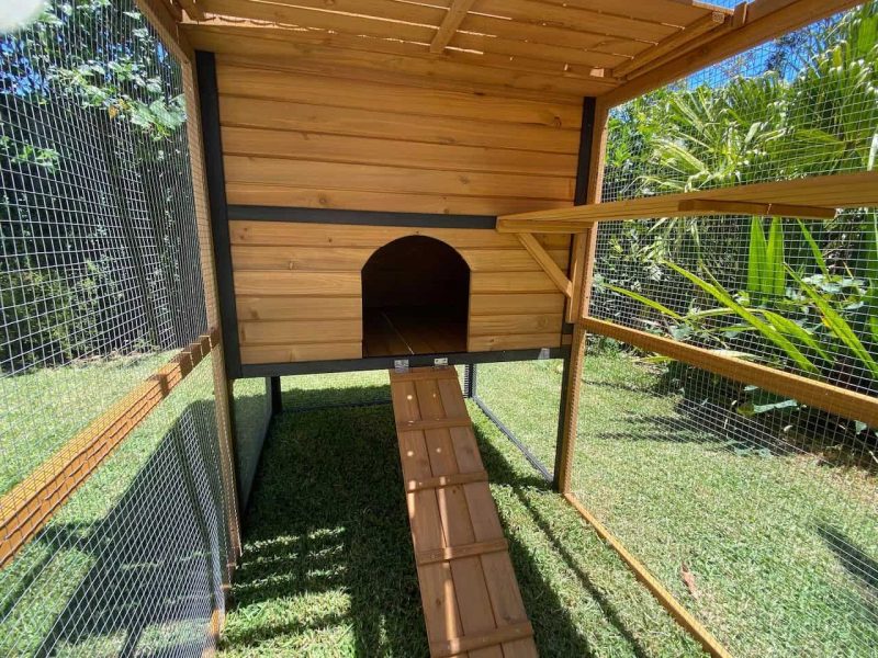 Cat Enclosures For Sale In Australia Coops And Cages