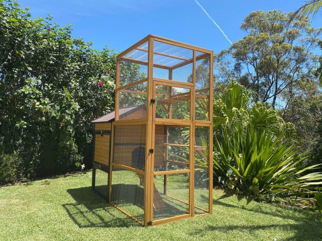 Cat Cages And Enclosures In Australia Coops And Cages