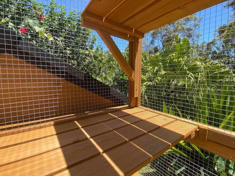 Stacey Cat Enclosure With Premium Wire Mesh