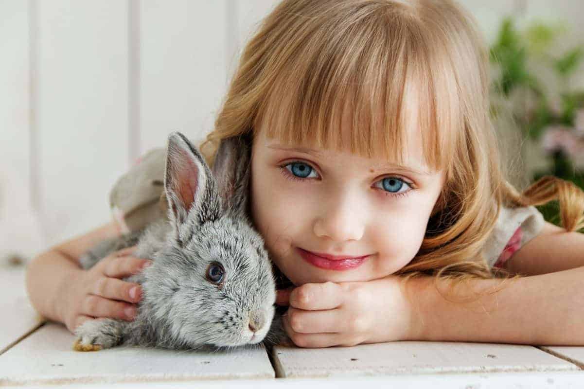 Caring for Rabbits