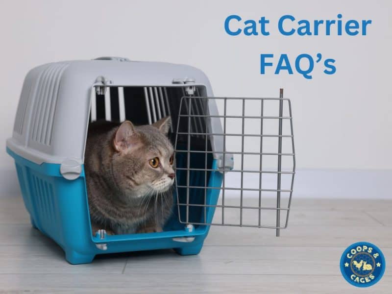 Cat Carrier FAQ's? Coops And Cages