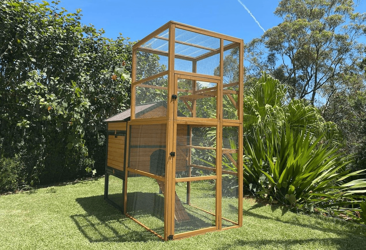 Stacey Outdoor Cat Enclosure