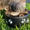 Pet Food and Drink Bowls