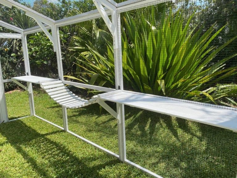 Chicken Coops For Sale Online Sydney Coops And Cages