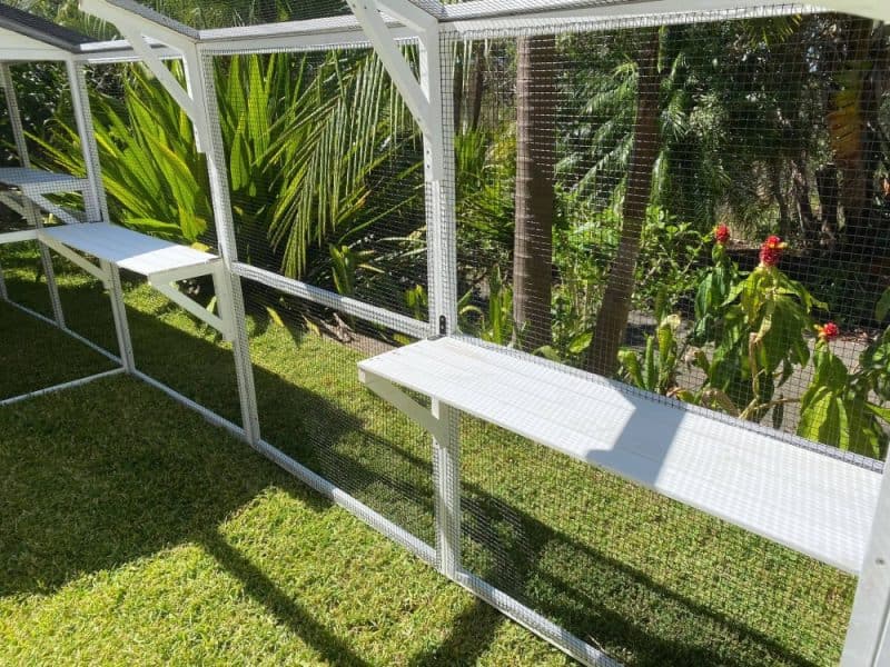 Chicken Coops For Sale Online Sydney Coops And Cages