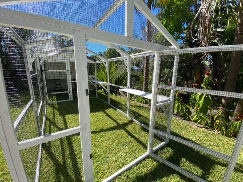 Chicken Coops For Sale Online Sydney Coops And Cages