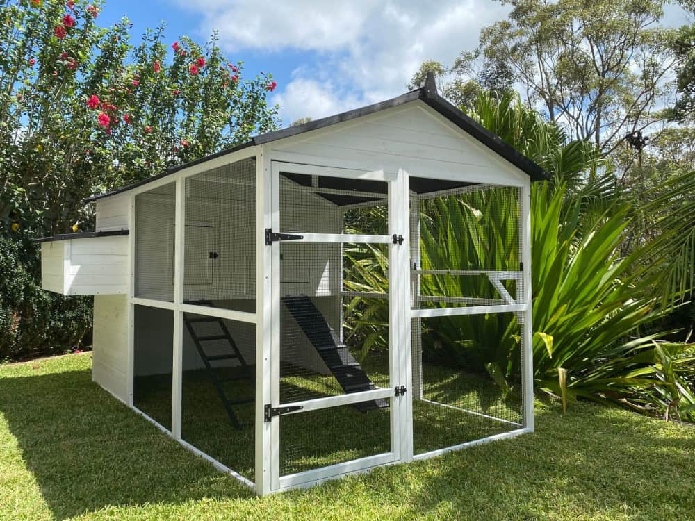 Can Cats Live In An Outdoor Enclosure A Comprehensive Guide