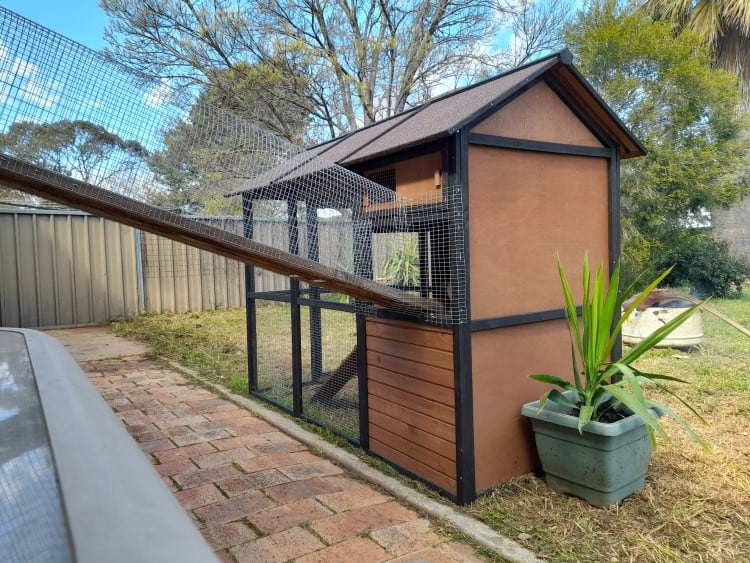 Create a tunnel from your house to the catio