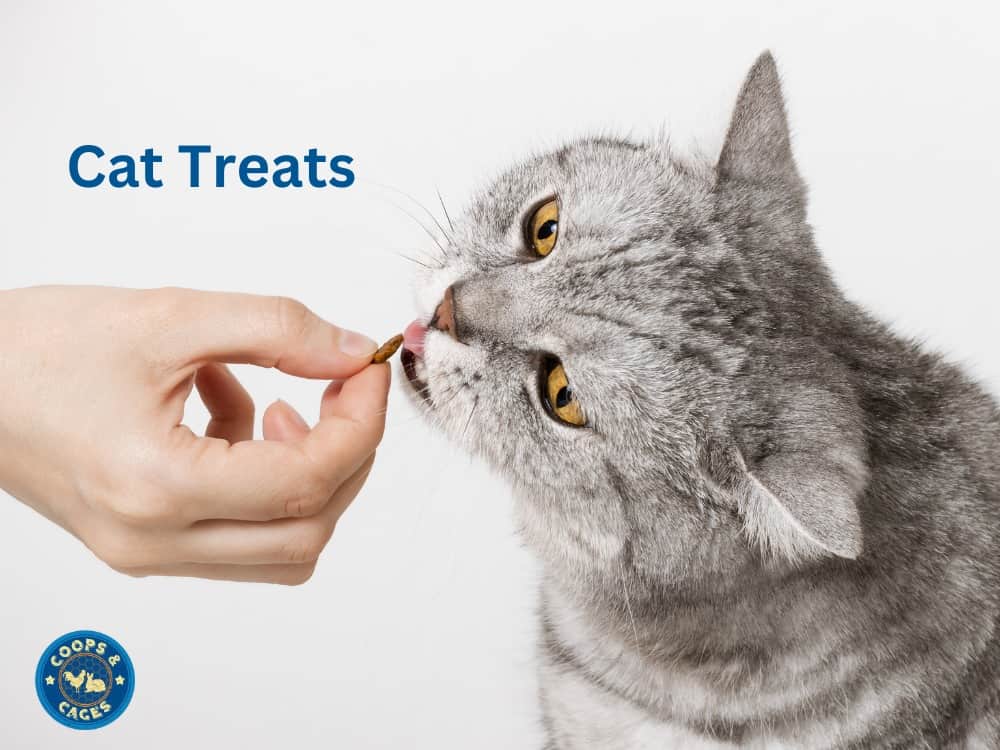 Cat Treats