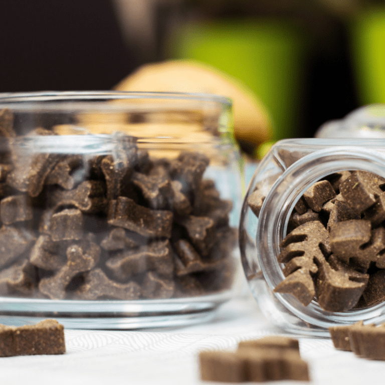 Can You Give Dogs Cat Treats? A Guide On Safe Treats For Dogs