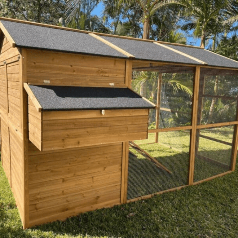 Best Walk In Chicken Coops For Every Chicken Lover Coops And Cages