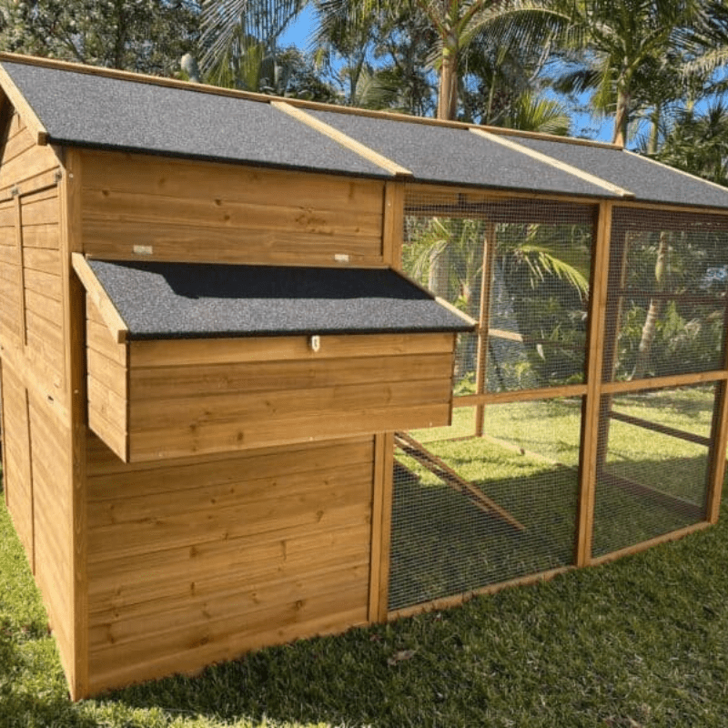 Homestead Chicken Coop