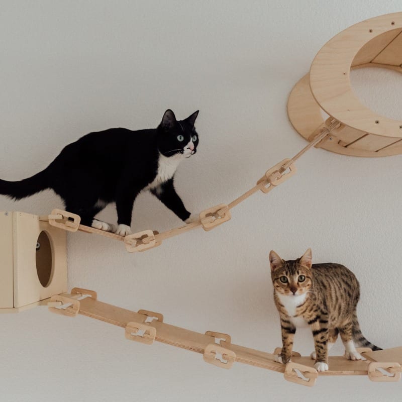 Bridges are a popular, fun and beneficial addition to cat enclosures