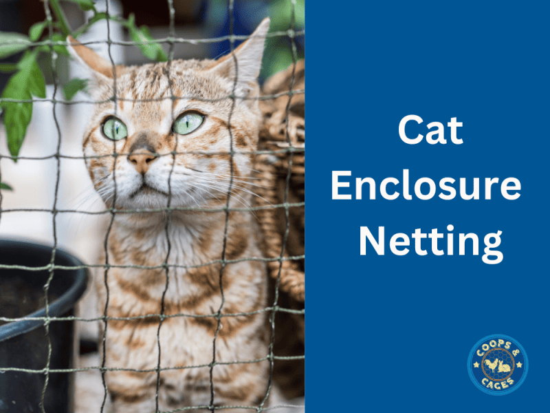 Secure Your Cat With Cat Enclosure Netting