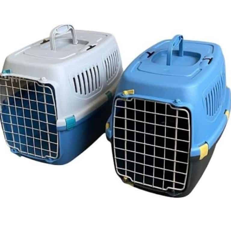 Discover The Best Crates For Dogs Top Picks And Tips