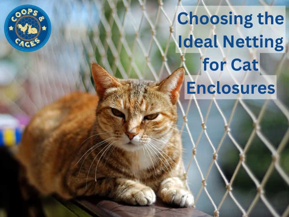 Choosing the ideal netting for cat enclosures