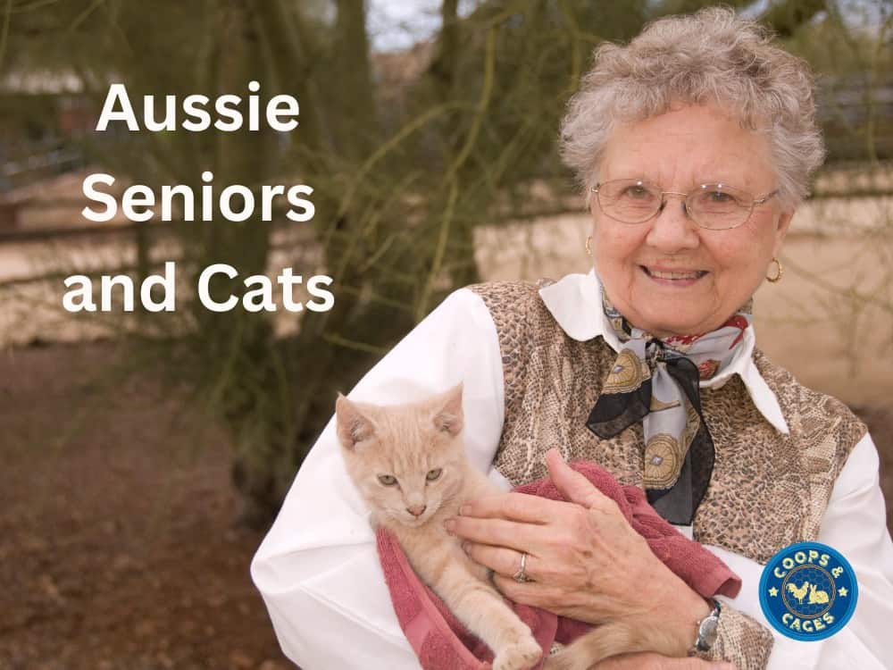 Aussie Seniors and Cats