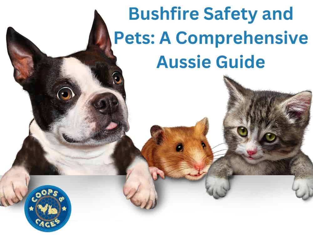 Bushfire Safety and Pets