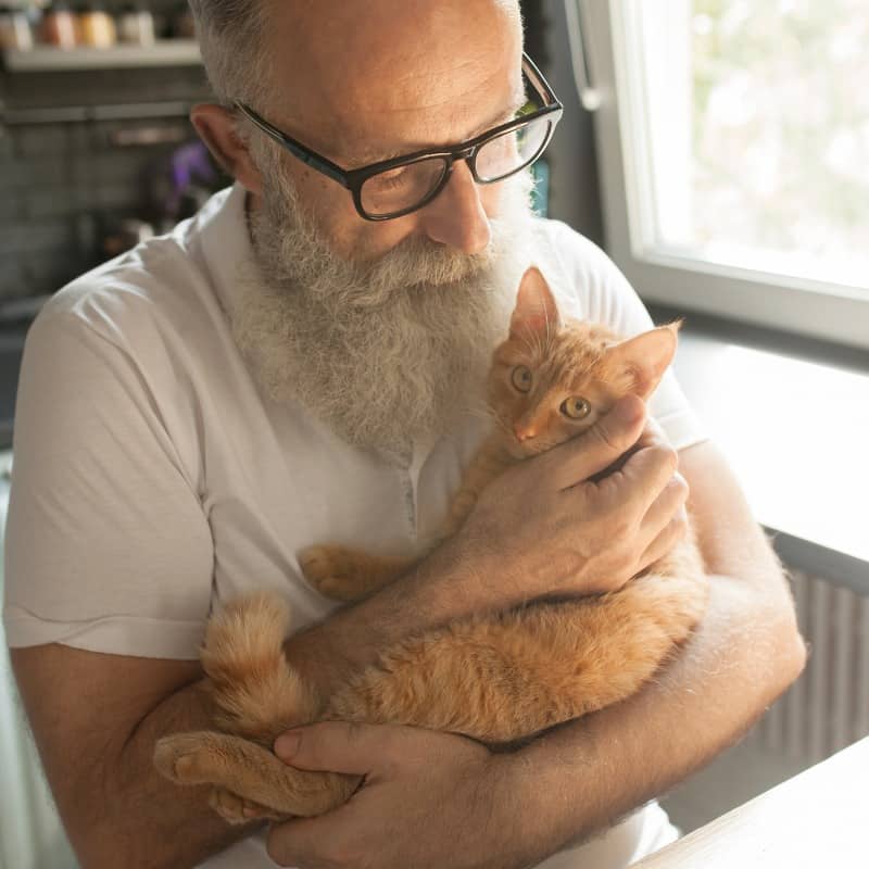 Challenges of Owning a Cat for Seniors