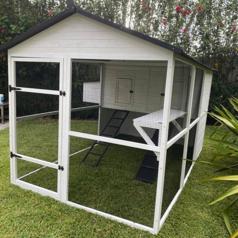 Connecting an outdoor cat enclosure to your house