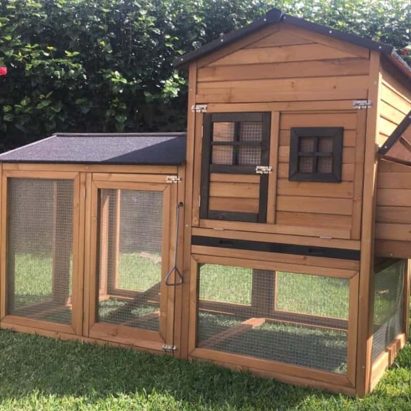 Deluxe Mansion Chicken Coop