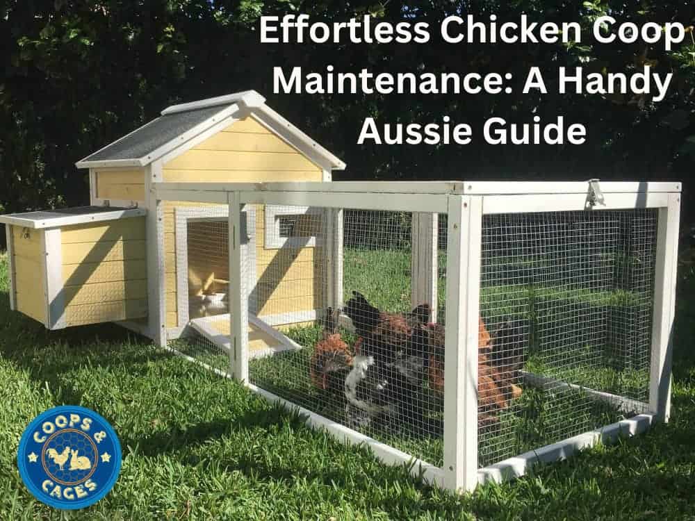 Effortless Chicken Coop Maintenance