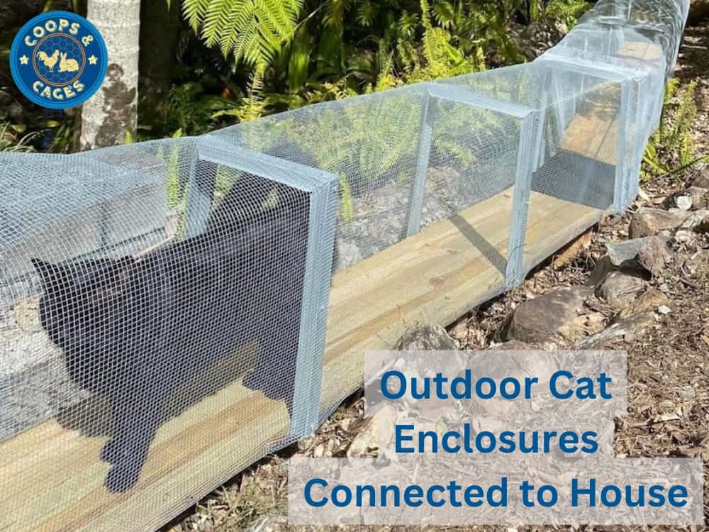 Outdoor Cat Enclosures Connected to House