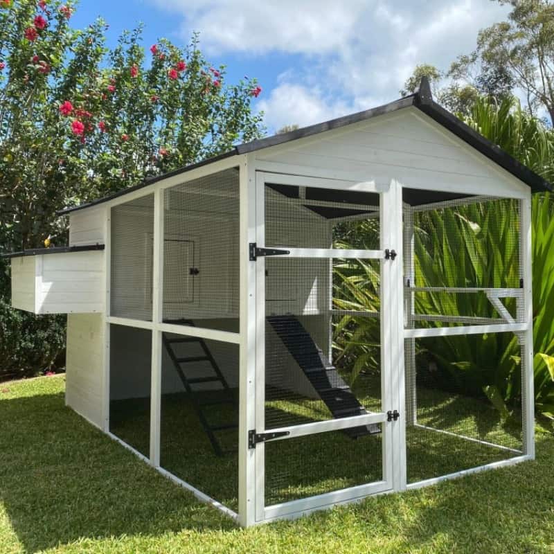 Popular cat enclosures for aussie cats in backyards