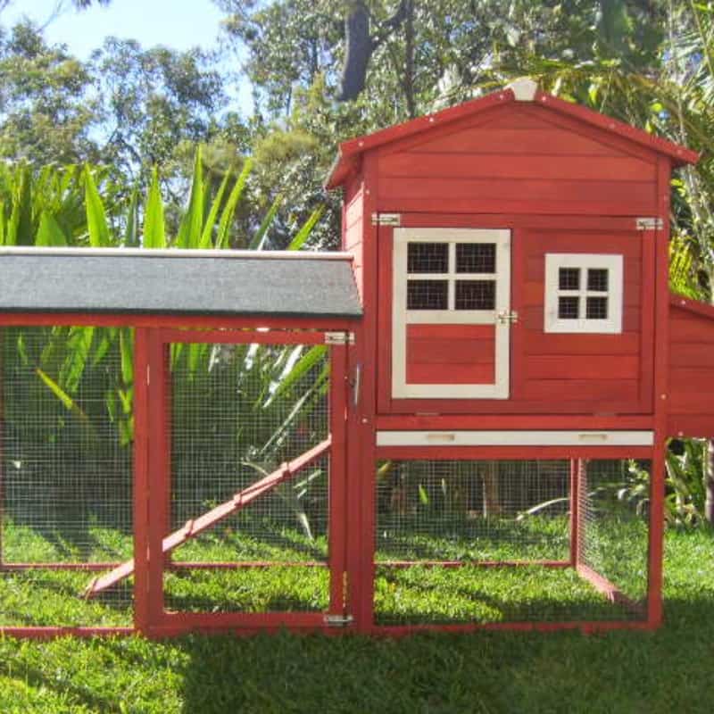 Red Resort Chicken Coop