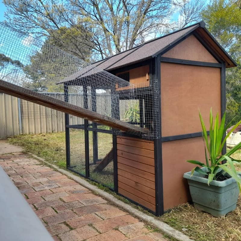 Window-connected cat tunnel