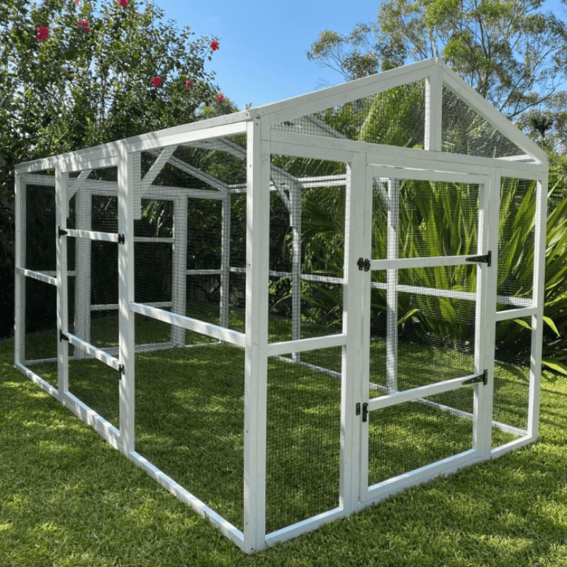 Building the Perfect Chicken Coop