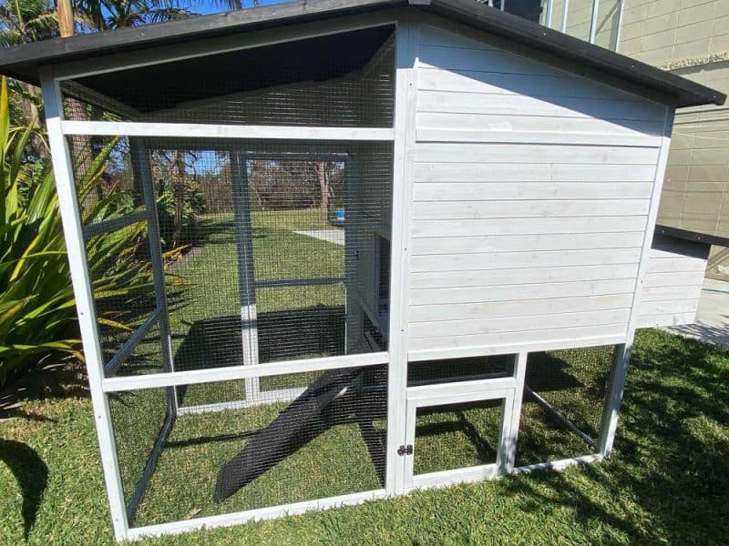 Majestic Cat Kennel external rear view with decorative white stain